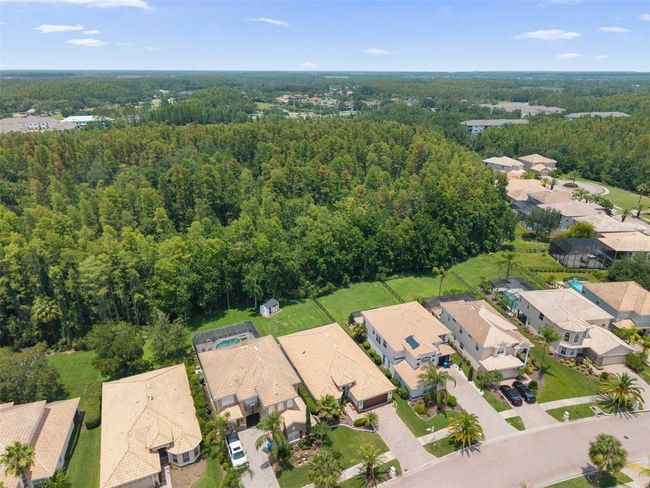 10880 Cory Lake Dr, House other with 3 bedrooms, 2 bathrooms and null parking in TAMPA FL | Image 45