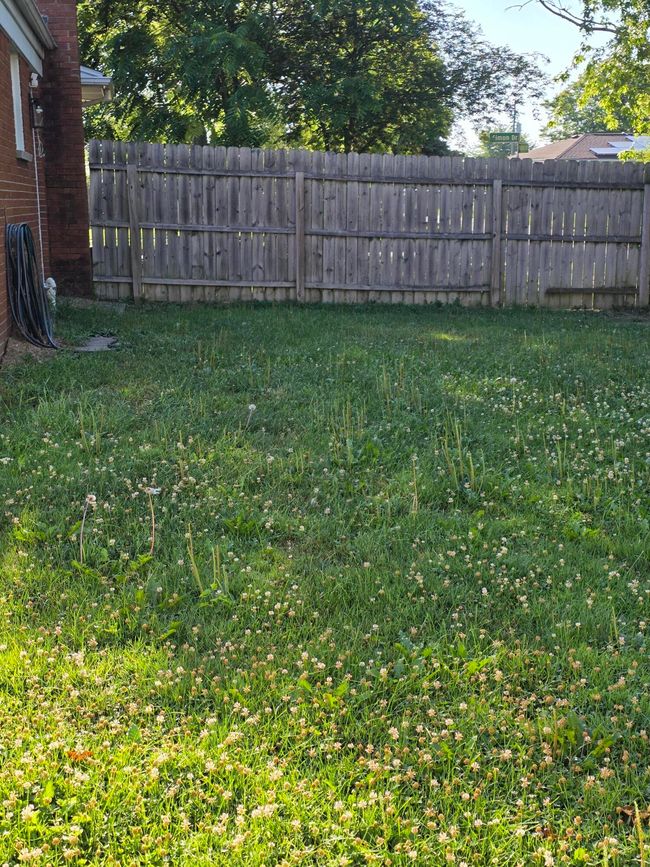 20250722_083952 | Image 28