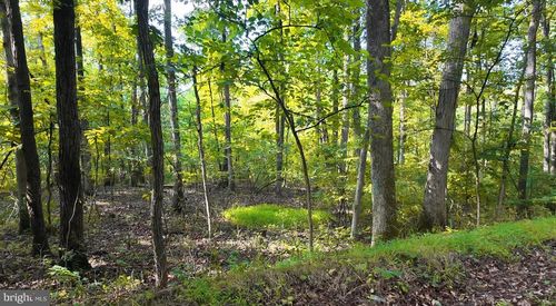 Lot 42 Shale Hill Ln, AUGUSTA, WV, 26704 | Card Image