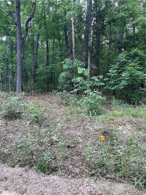 0 Muriel Dr, Vance, AL, 35490 | Card Image
