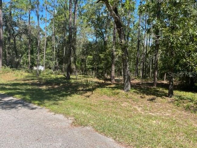 00 Sw 84th Loop, Home with 0 bedrooms, 0 bathrooms and null parking in Dunnellon FL | Image 2