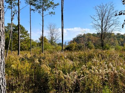 Mountain Views to the east from tract 12 | Image 1