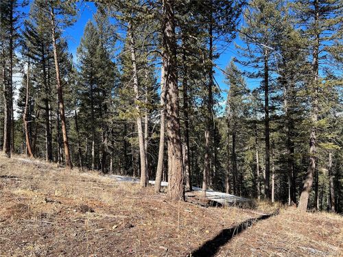 7871 Gold Rush, Morrison, CO, 80465 | Card Image