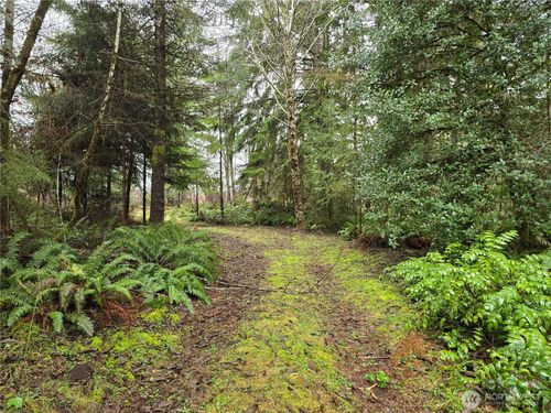 0 Lot 1&2 W Elk Hill Rd, Elma, WA, 98541 | Card Image