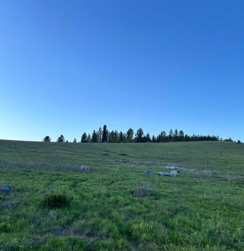 117XX E Tallman Rd, Chattaroy, WA, 99003 | Card Image