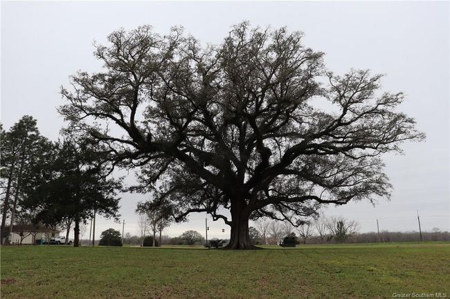 0 Highway 347, Home with 0 bedrooms, 0 bathrooms and null parking in Arnaudville LA | Image 26