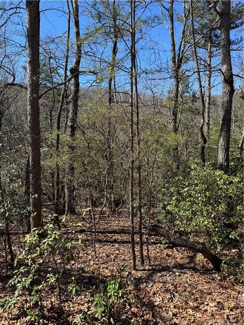 5504 Red Fox Dr, Big Canoe, GA, 30143 | Card Image
