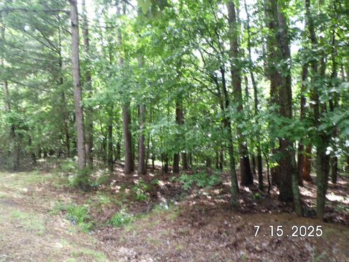 Lots 44 &amp; 45 Lakeview Drive, Heber Springs, AR, 72543 | Card Image