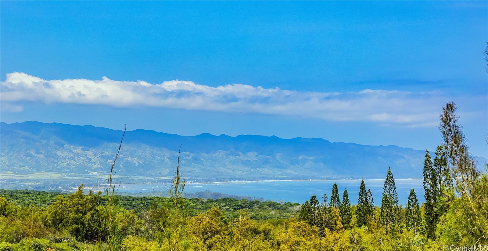 Akanoho Pl, Haleiwa, HI 96712