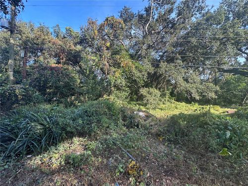 11911 Leroy Sheppard Rd, THONOTOSASSA, FL, 33592-2980 | Card Image