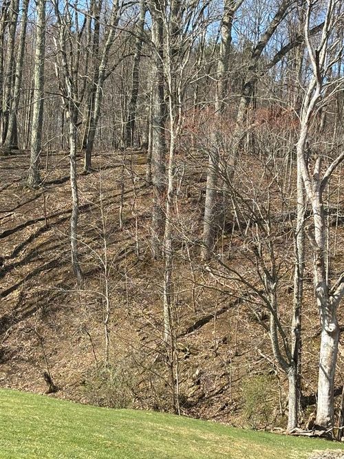 TBD Forest Hills Dr, Pounding Mill, VA, 24637 | Card Image