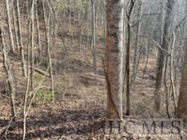 528 Early Deitz Rd, Home with 0 bedrooms, 0 bathrooms and null parking in Sylva NC | Image 8
