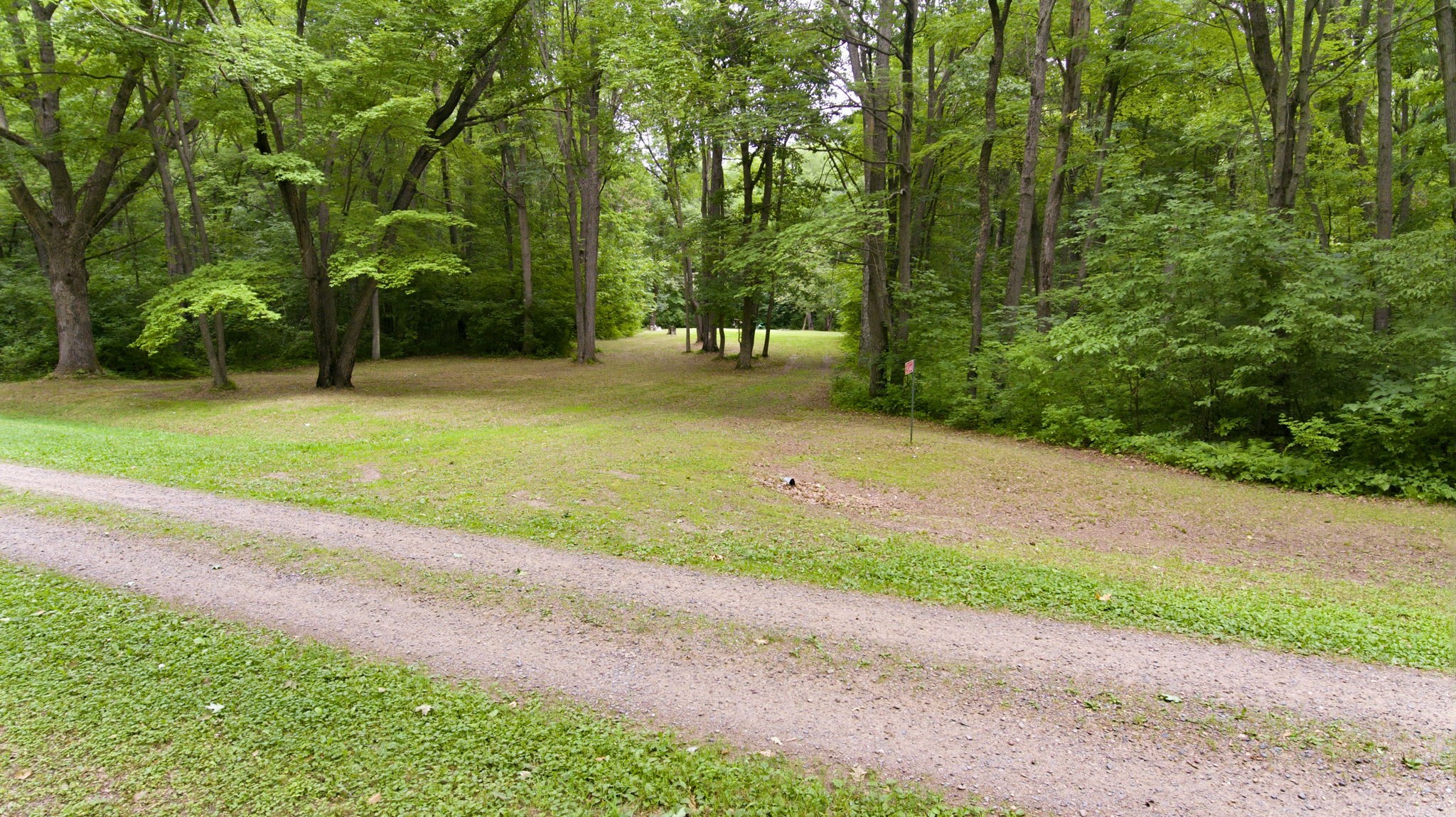 Land in Webster 5