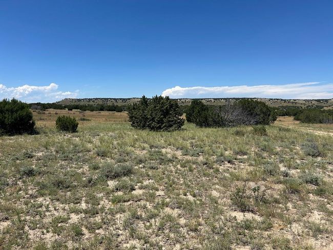 Lot 17 Longhorn Rd, Home with 0 bedrooms, 0 bathrooms and null parking in Model CO | Image 6
