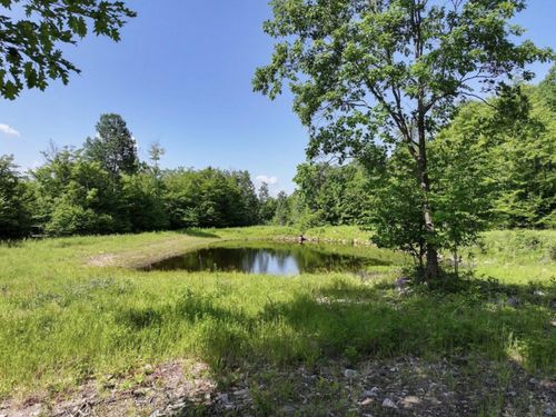100 Strackville Rd, Schuyler Falls, NY, 12985-2002 | Card Image