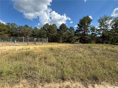 0 Hurricane Valley Rd, Brookwood, AL, 35444 | Card Image