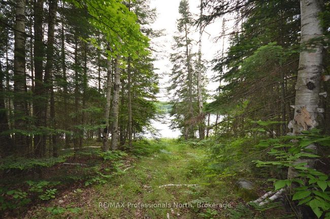 0 Harburn Rd, Home with 0 bedrooms, 0 bathrooms and null parking in Haliburton ON | Image 20
