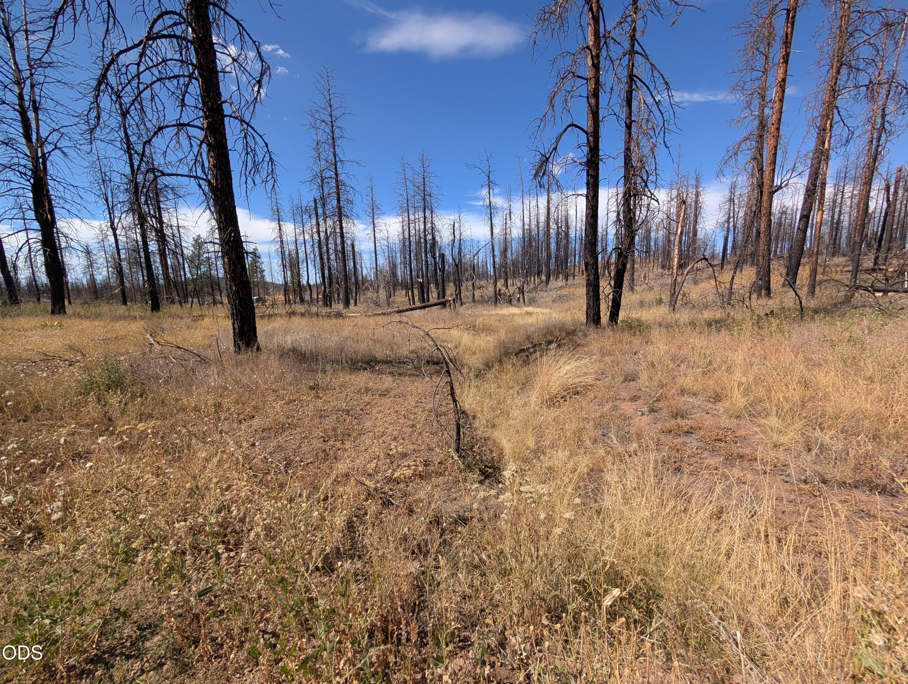 Land in Chiloquin