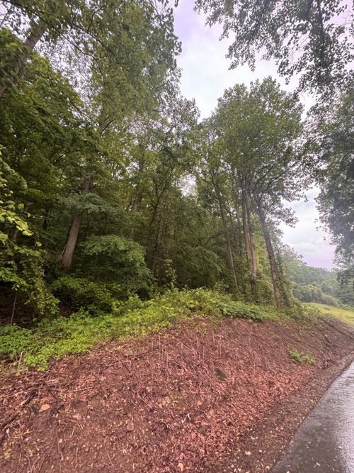 499 Little Bullskin Rd, Oneida, KY, 40972-6346 | Card Image