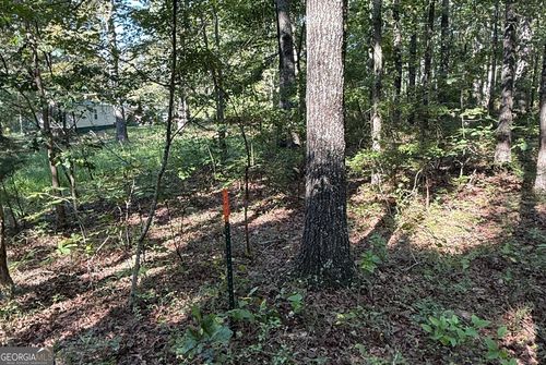 lot-42-and-46-0 Turkey Ct, Waco, GA, 30182 | Card Image