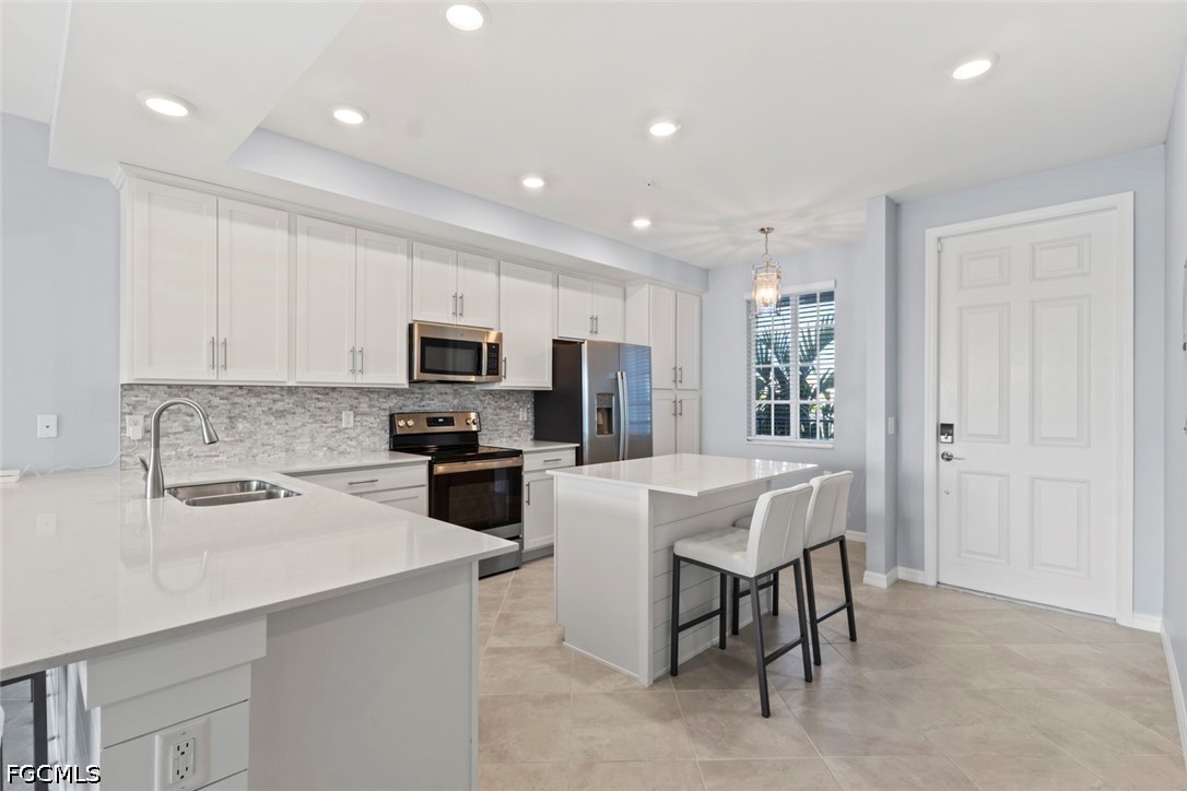 Residential in Punta Gorda 4