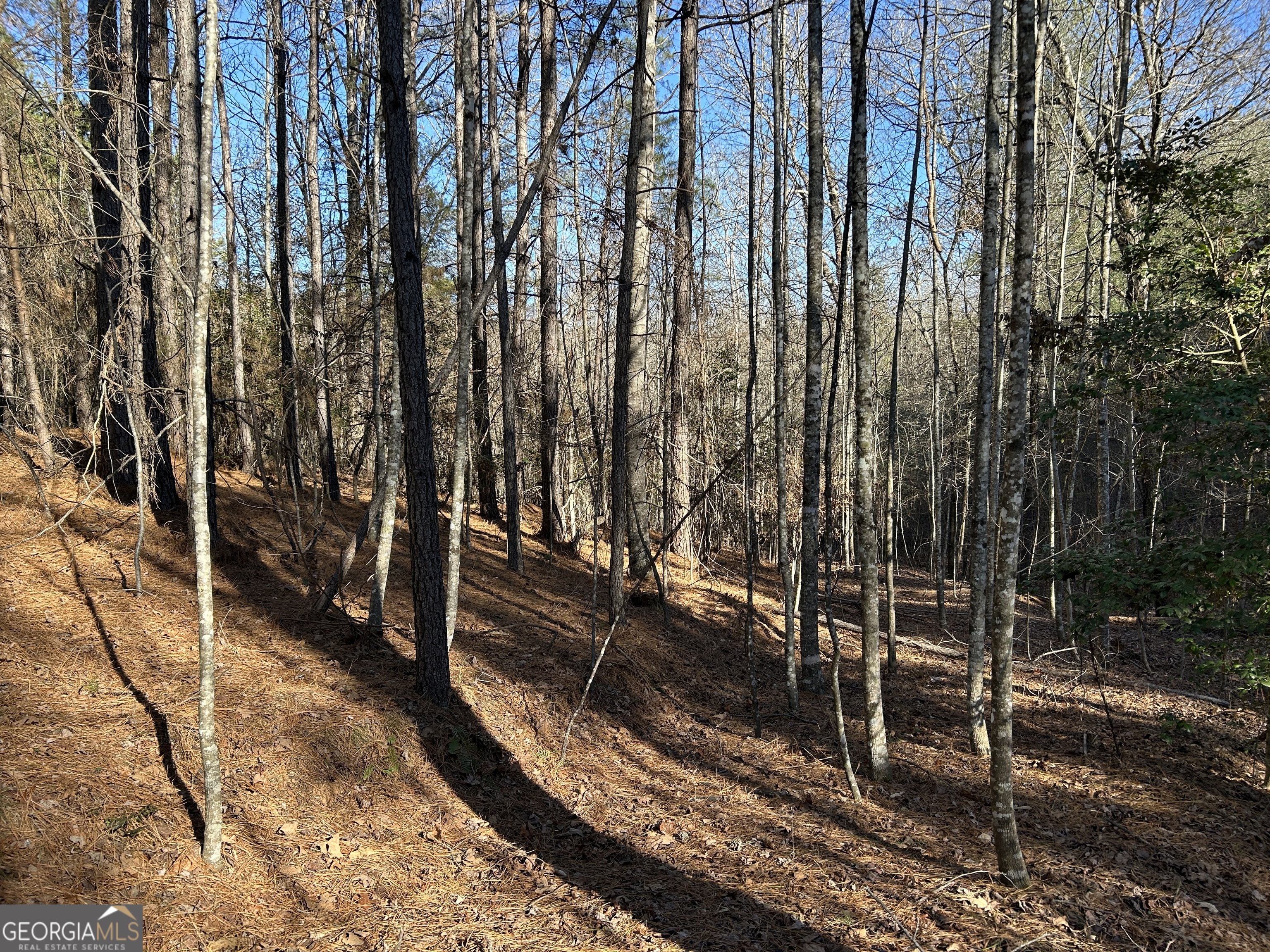 Land in Demorest 4