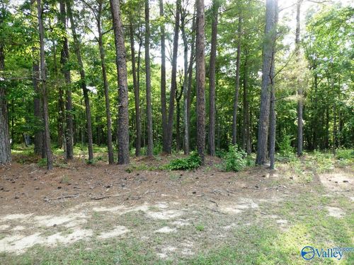 Lot 73 Harbor Lights Trail, Jasper, AL, 35504 | Card Image