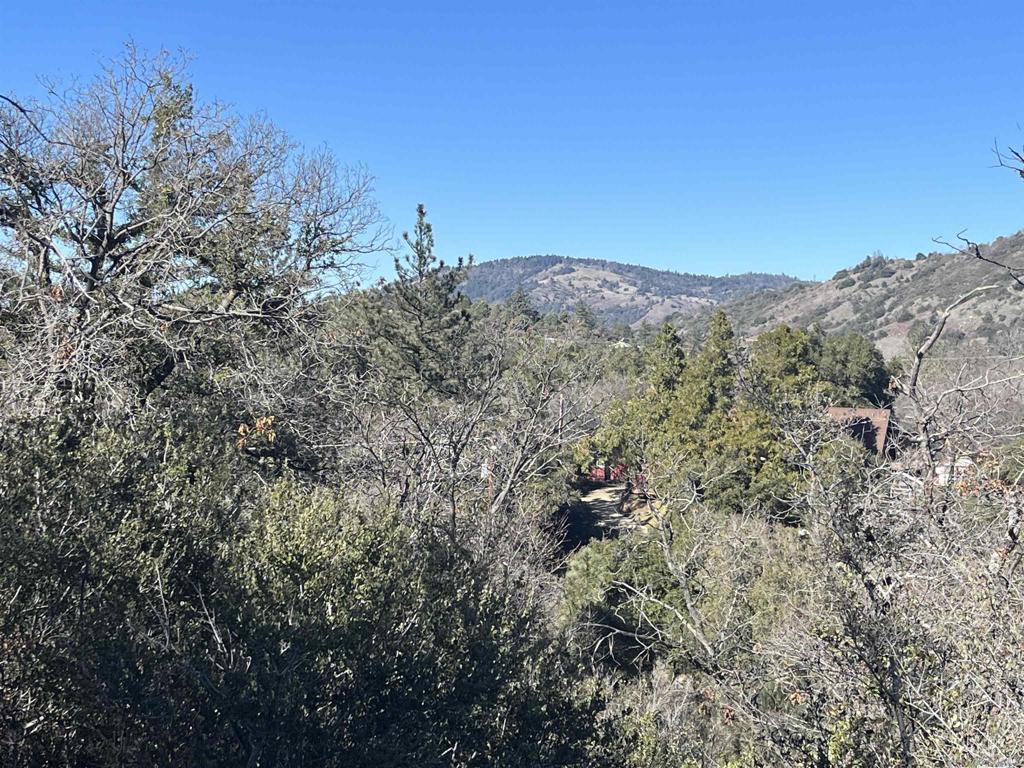 Land in Julian 3