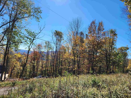 22 Meadows Rd E, Harman, WV, 26270-1103 | Card Image