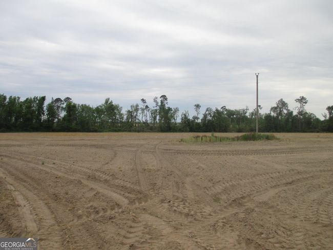 08600022T1 Red Bird Rd, Home with 0 bedrooms, 0 bathrooms and null parking in Lumber City GA | Image 6