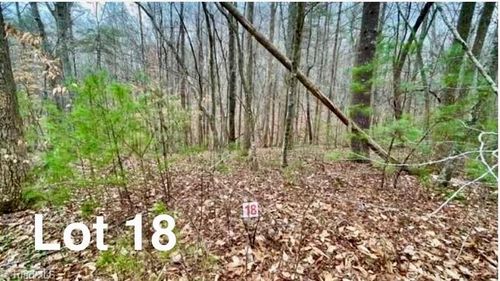 Lot 18 Woods Haven Ln, Stuart, VA, 24171-5434 | Card Image