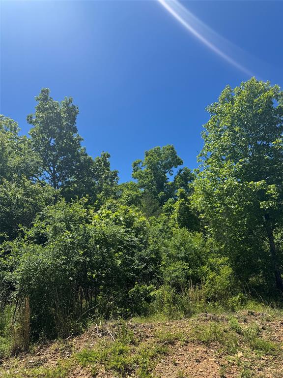 Land in Watson 4