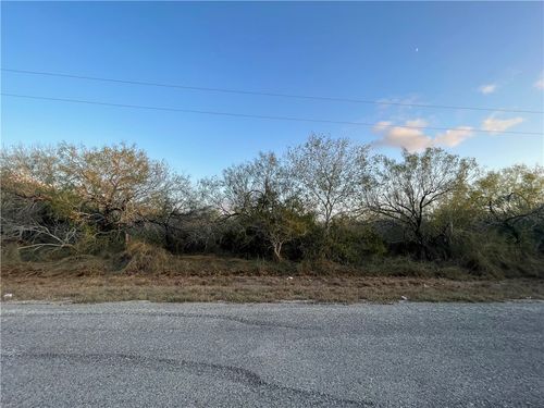 00 County Road 620, Skidmore, TX, 78389 | Card Image