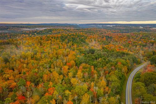 1315 Sackett Lake Rd, Forestburgh, NY, 12777-6033 | Card Image