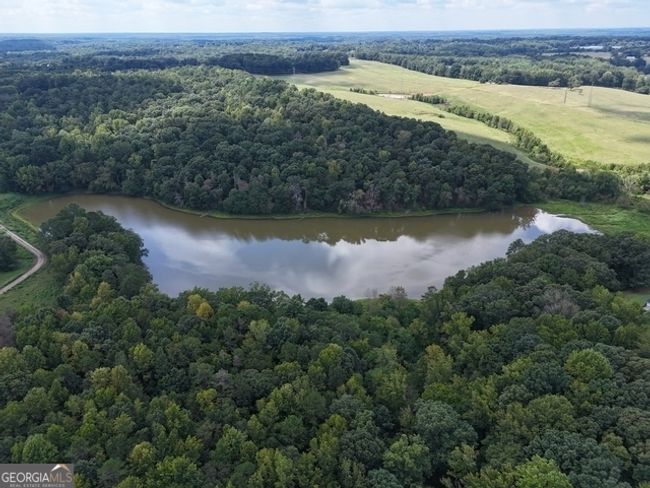 TRACT-9 - 0 Sanford Dr, Home with 0 bedrooms, 0 bathrooms and null parking in Nicholson GA | Image 9