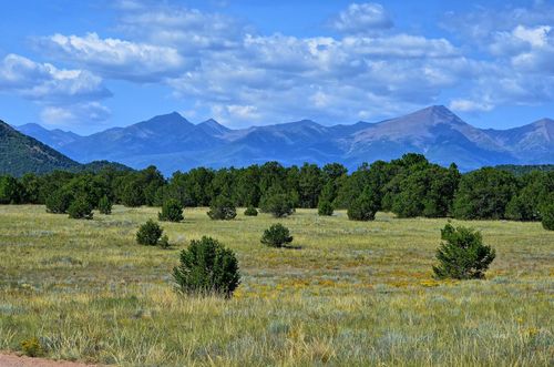 TBD 12th Trail, Cotopaxi, CO, 81223 | Card Image