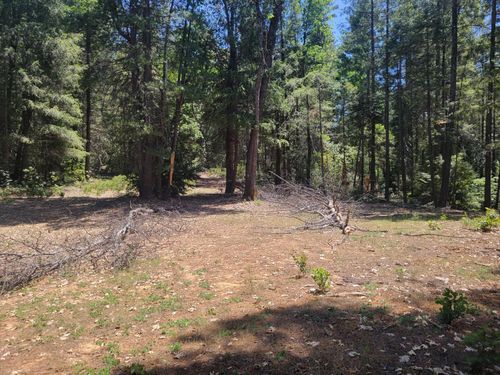 12 Ringtail Rd, Georgetown, CA, 95634 | Card Image