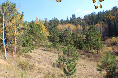 2020 Shelton Dr, BAILEY, CO, 80421-1446 | Card Image