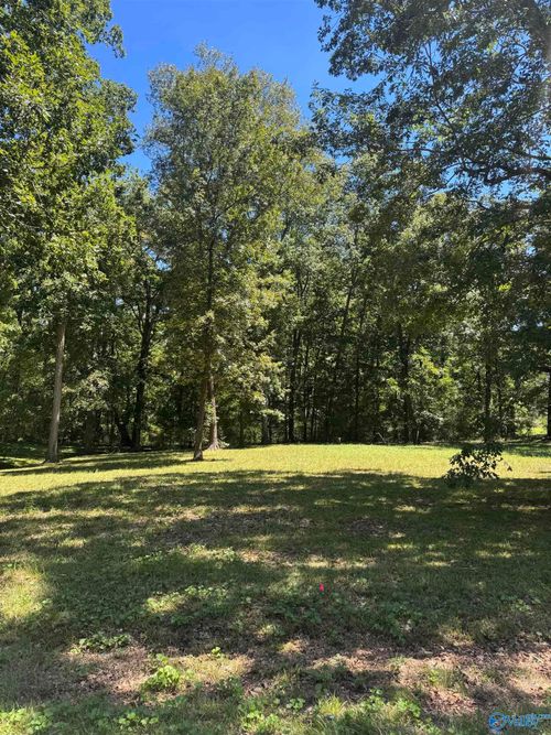 LOT 44 & 45 Sherwood Blvd, Fyffe, AL, 35971 | Card Image