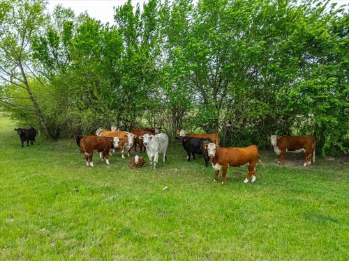 TBD Lot PT 15 & 16 County Road 1271, Alvord, TX, 76225 | Card Image