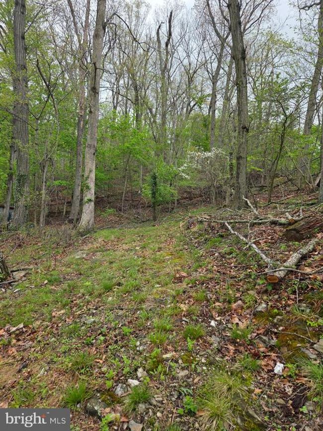 0 W Clearview Dr, Home with 0 bedrooms, 0 bathrooms and null parking in GLEN ROCK PA | Image 28