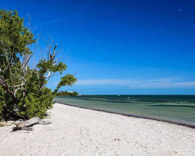 Coco-Plum-Beach-Marathon-Fl-Photo-Credit | Image 20