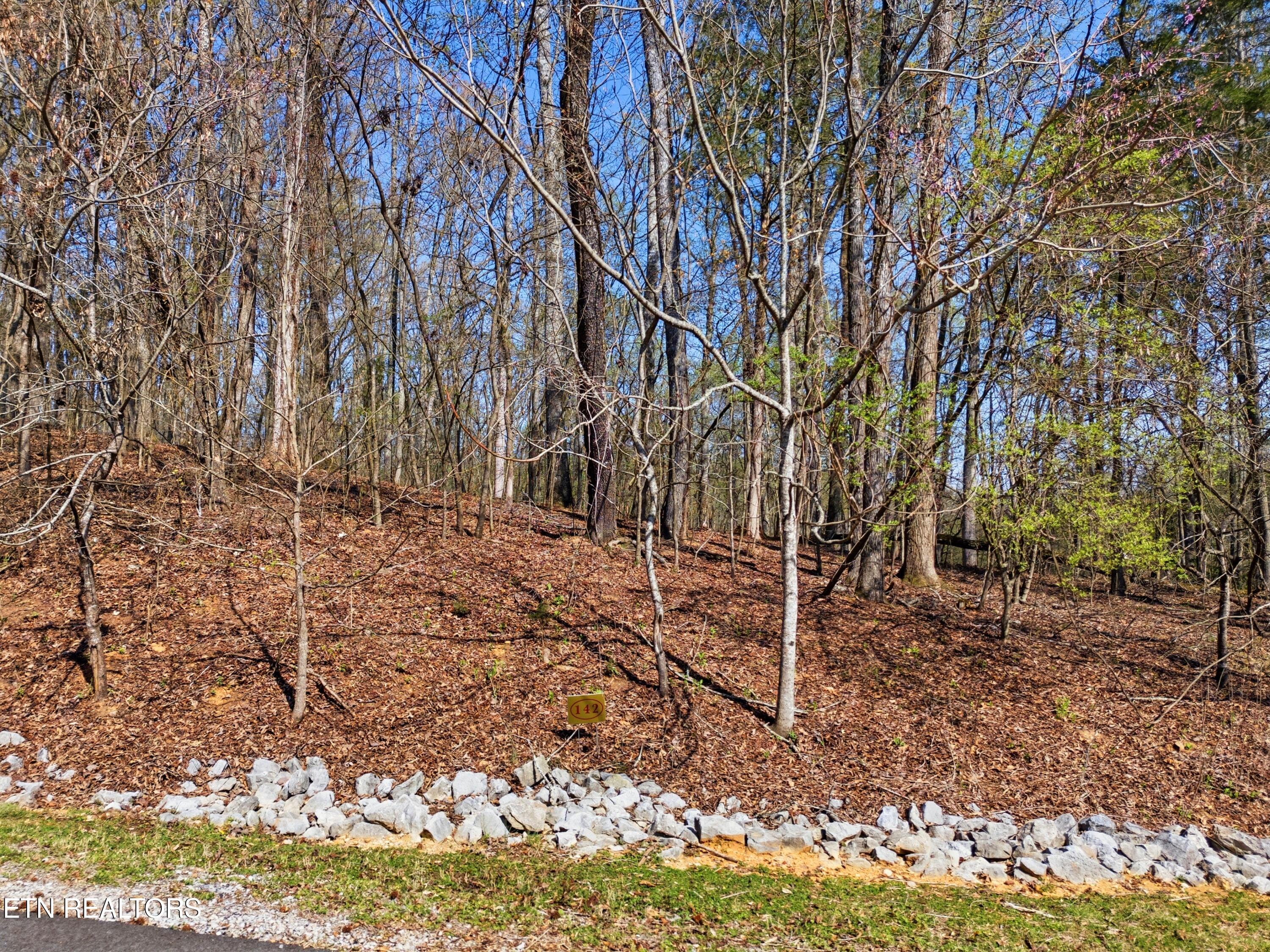 Land in Rockwood 3