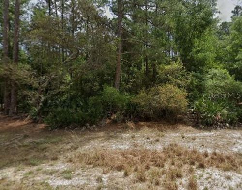 131 Edgemere Dr, GEORGETOWN, FL, 32139-2205 | Card Image