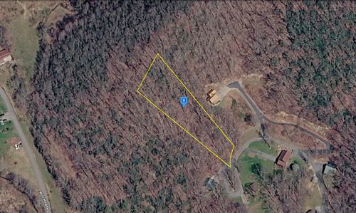 226 Black Bear Rdg, Roan Mountain, TN, 37687-3590 | Card Image