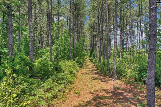 0000 N Brewington Rd, Home with 0 bedrooms, 0 bathrooms and null parking in Manning SC | Image 25