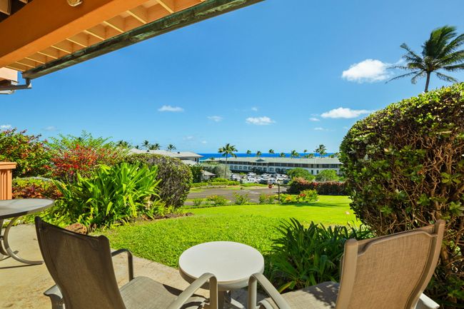 APT-211 - 1568 Pee Rd, Condo with 2 bedrooms, 2 bathrooms and null parking in KOLOA HI | Image 11