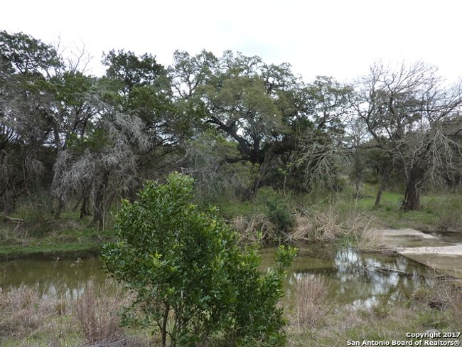 17032 Scenic Loop Rd, Home with 0 bedrooms, 0 bathrooms and null parking in Helotes TX | Image 6