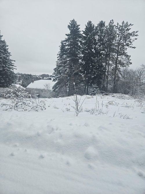 34 High Street, Limestone, ME, 04750 | Card Image