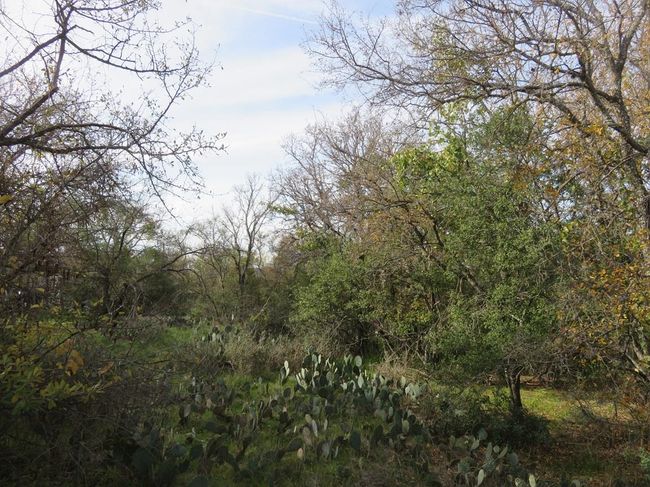 114 Airview Blvd, Home with 0 bedrooms, 0 bathrooms and null parking in Sunrise Beach TX | Image 6
